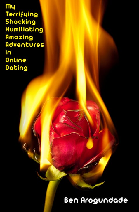 Internet date book, My Terrifying, Shocking, Humiliating, Amazing Adventures In Online Dating